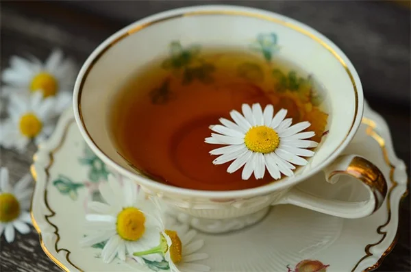 4月に種まきできる花おすすめ10選！プロが厳選する品種と育て方のコツ