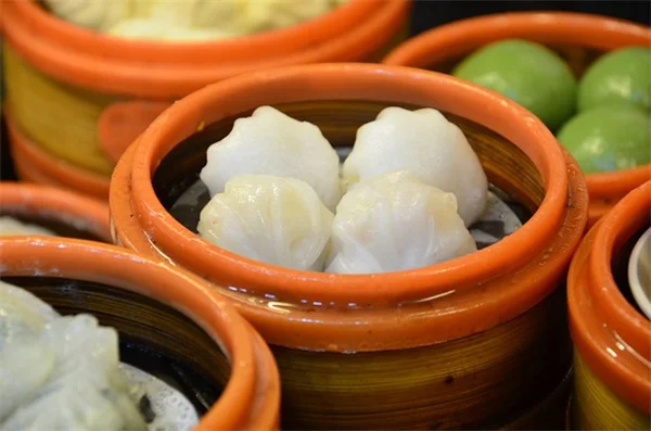 冬の庭を劇的に変える！在来植物で冬の興味を引き出す実践術