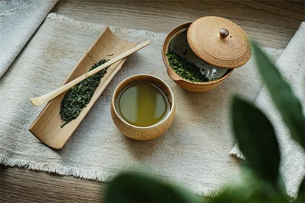 夏の挿し木はこれで決まり！おすすめ植物8選と成功率アップのコツ